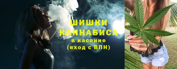 шишки Абаза