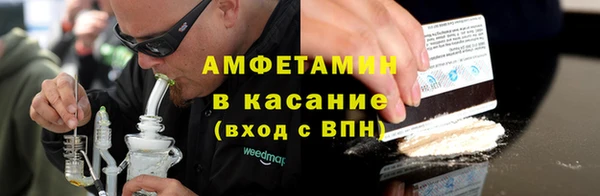 шишки Абаза