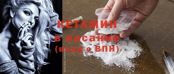 шишки Абаза
