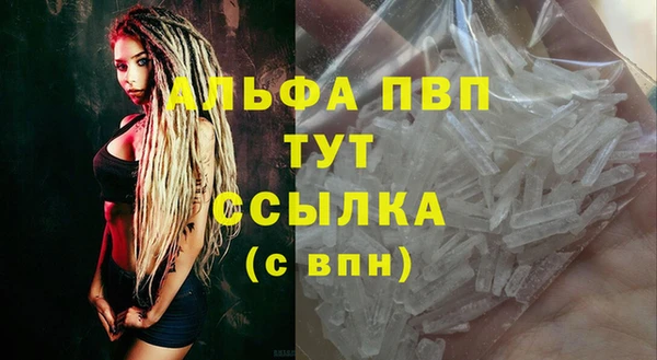 шишки Абаза