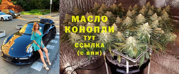 шишки Абаза