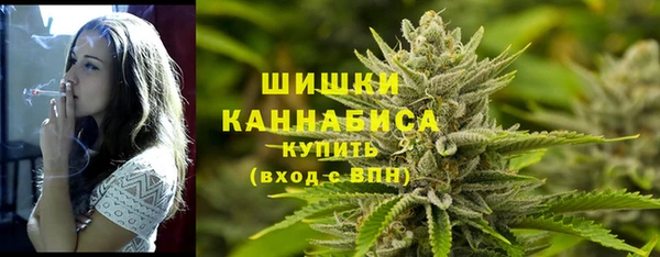 шишки Абаза