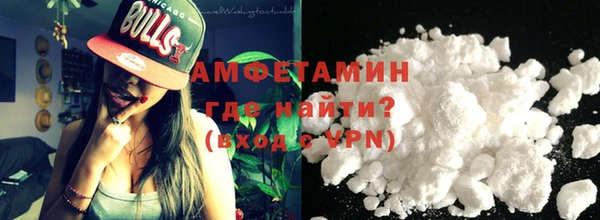 шишки Абаза