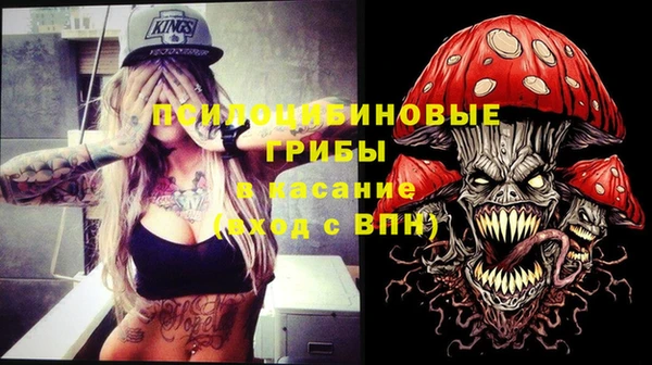 шишки Абаза