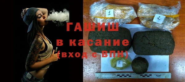 шишки Абаза