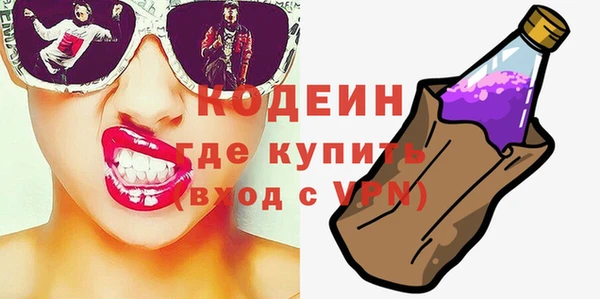 шишки Абаза